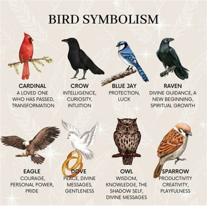 The meaning and symbolism of the word Night